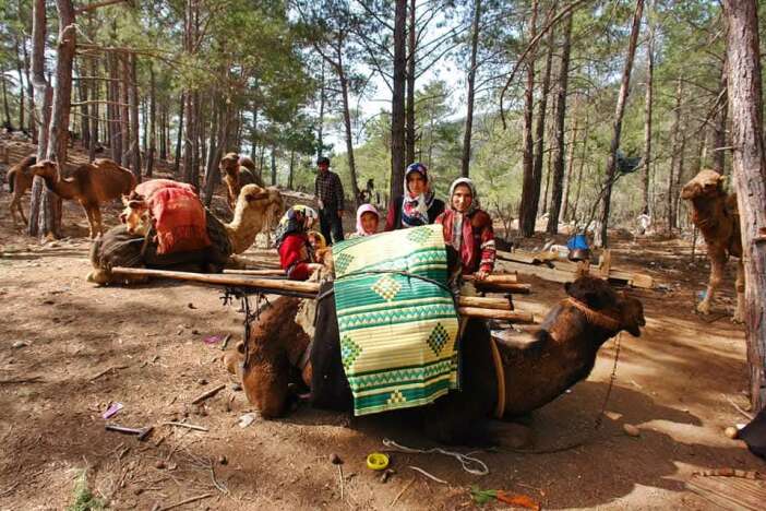 havalarin-sogudugu-konyada-yorukler-icin-goc-zamani