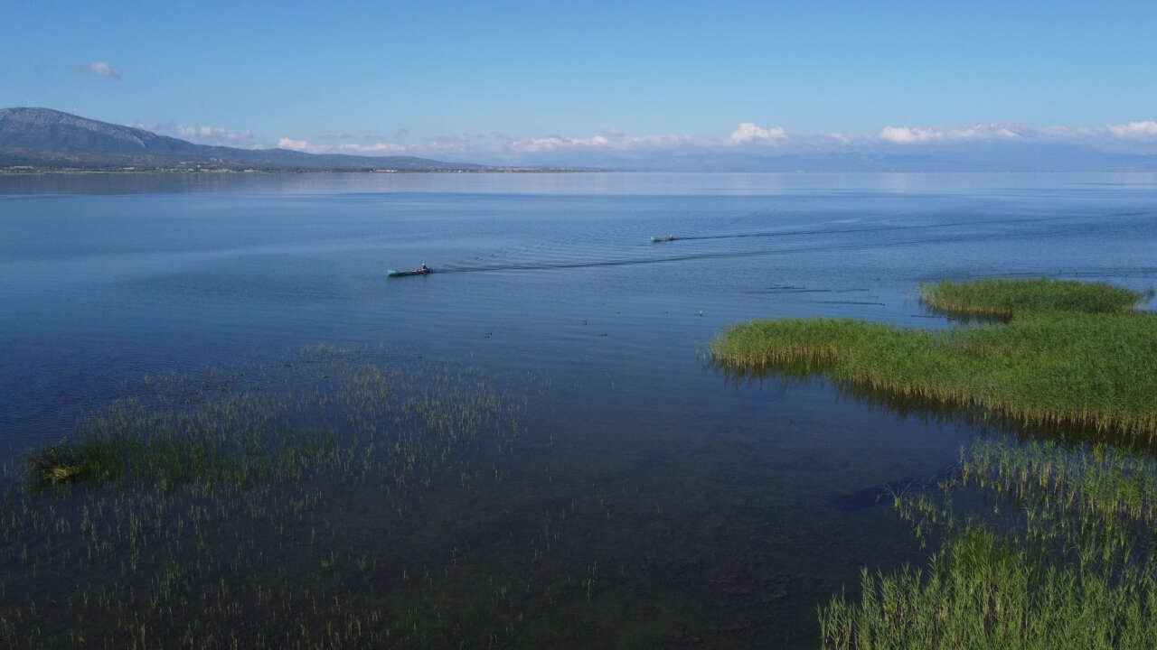 konyanin-unlu-kefali-artik-resmen-tescilli