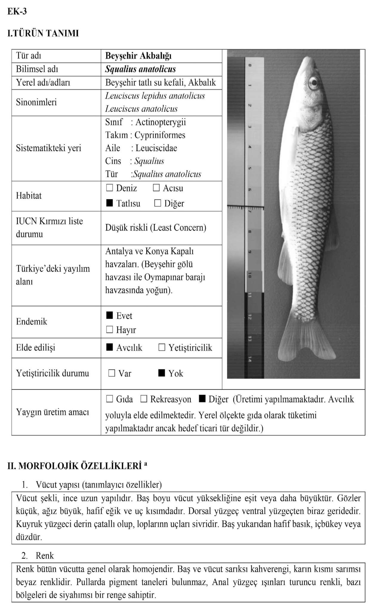 konyanin-unlu-kefali-artik-resmen-tescilli