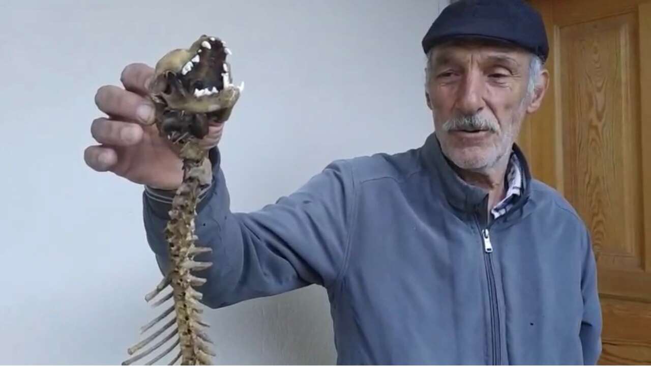 ahirda-buldugu-iskeleti-gorunce-ekiplere-haber-verdi-ilk-kez-boyle-bir-sey-gordum