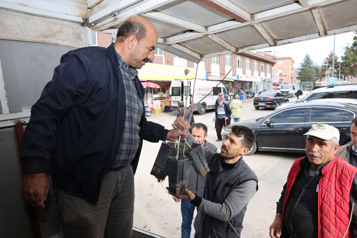 konya-ciftcisi-cok-kazandiracak-urunu-ekecek-4-bin-fidan-dagitildi