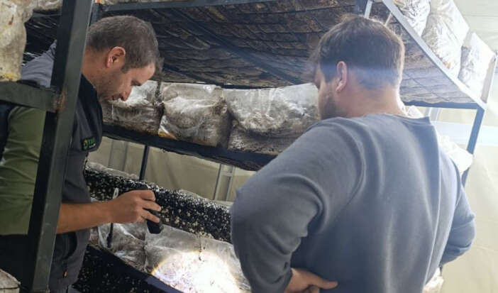 konyada-ureticiye-yeni-gelir-kapisi-acildi-bir-ilce-oldukca-iddiali-beysehir-kultur-mantari