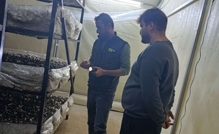 konyada-ureticiye-yeni-gelir-kapisi-acildi-bir-ilce-oldukca-iddiali-beysehir-kultur-mantari