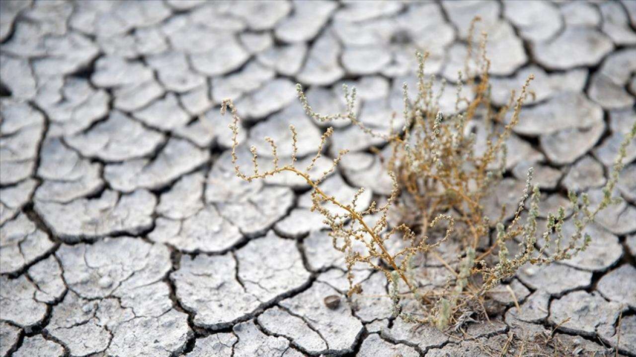 turkiye-erozyonla-toprak-kaybediyor