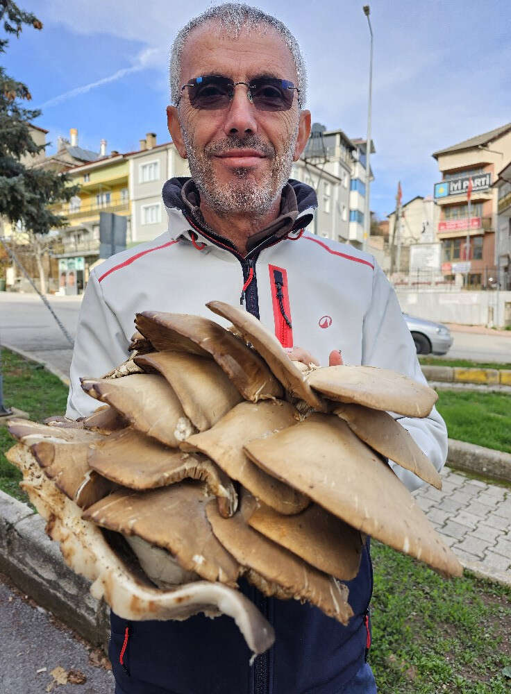 yer-konya-dev-mantar-buldu-paylasimi-viral-oldu