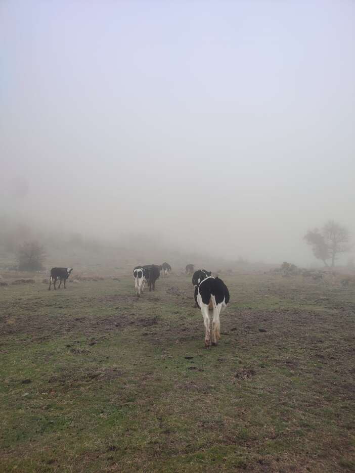 konyada-jandarma-alarma-gecti-dagda-arama-baslatildi