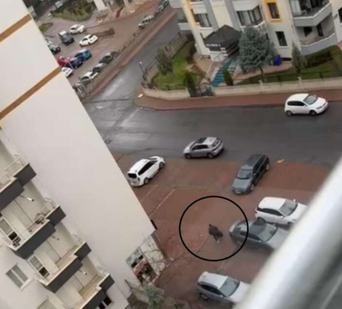 emekli-bascavus-dehseti-esinin-evine-giremeyince-kapicinin-esini-oldurdu-kayseri