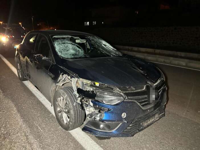 feci-kaza-yolun-karsisina-gecmek-isteyen-3-yaya-hayatini-kaybetti