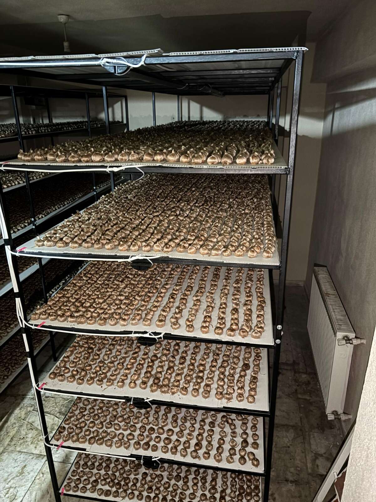 100-bin-lira-kazandiran-meslegi-birakti-50-metrekare-alanda-servet-kazaniyor