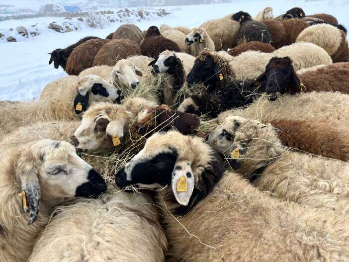 besiciler-zorlu-kis-mesaisine-basladi