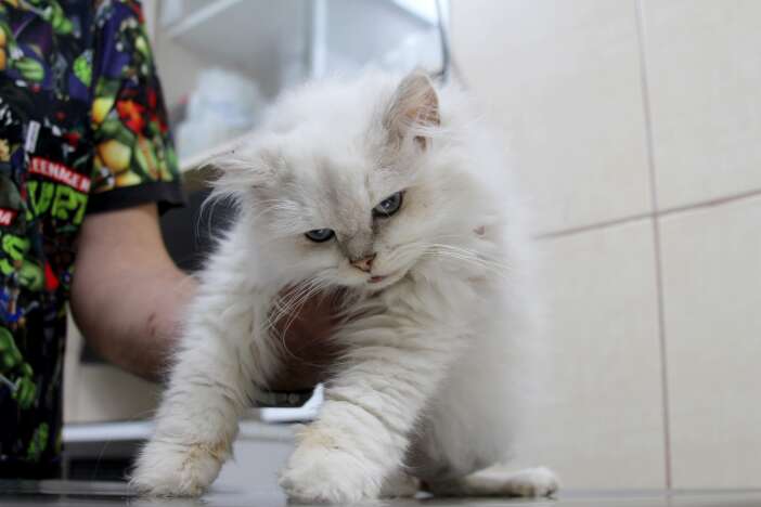 turkiyede-ve-dunyadaki-ilk-vaka-ornegi-cinsel-organi-farkli-yerde