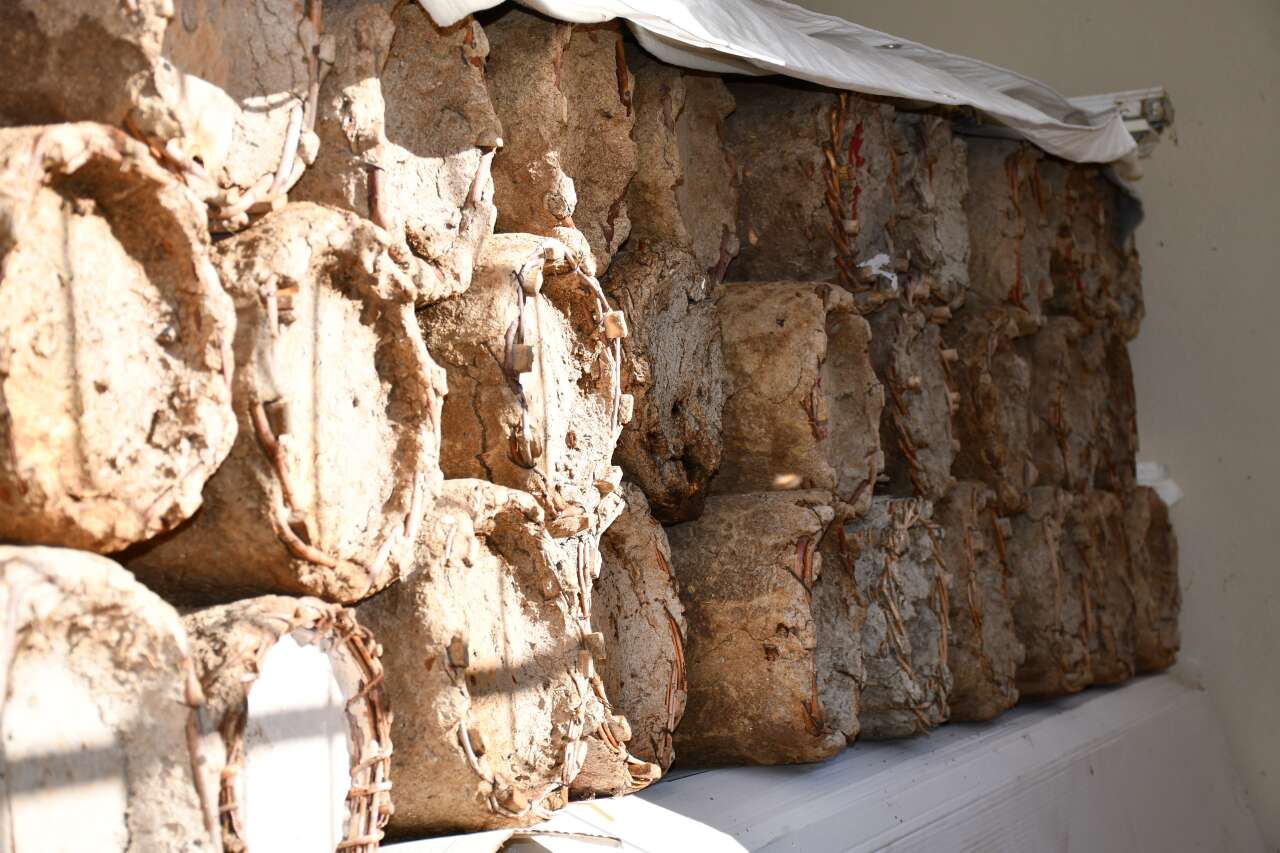 evin-en-guzel-noktasini-onlara-ayirdi-kilosunu-10-bin-liraya-satiyor