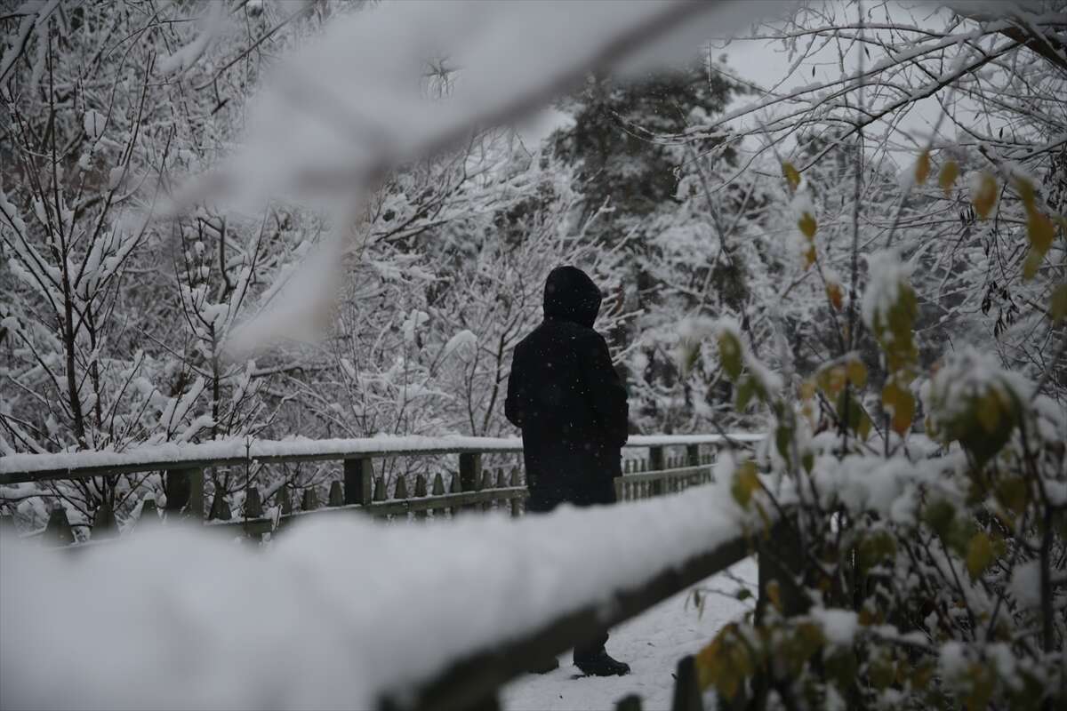 kar-yagisinin-basladigi-sehirden-ozlenen-fotograflar-yansidi-bolu