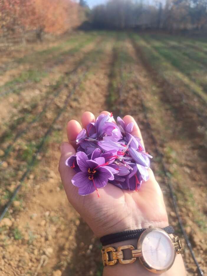 konyada-kadin-ureticinin-sifa-yolculugu-markaya-donustu