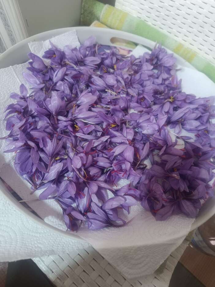 konyada-kadin-ureticinin-sifa-yolculugu-markaya-donustu