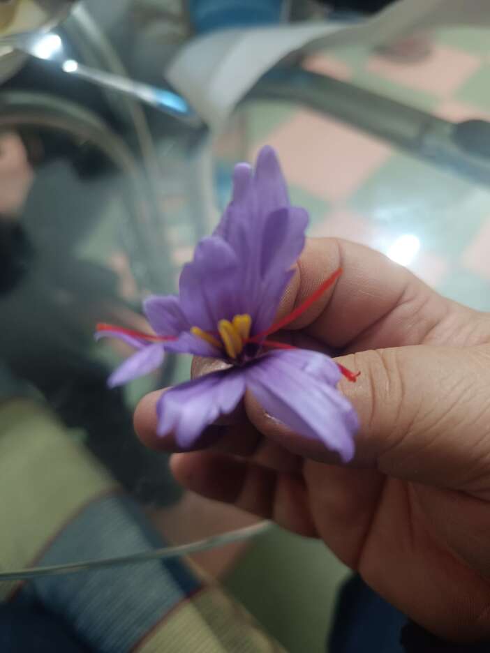 konyada-kadin-ureticinin-sifa-yolculugu-markaya-donustu