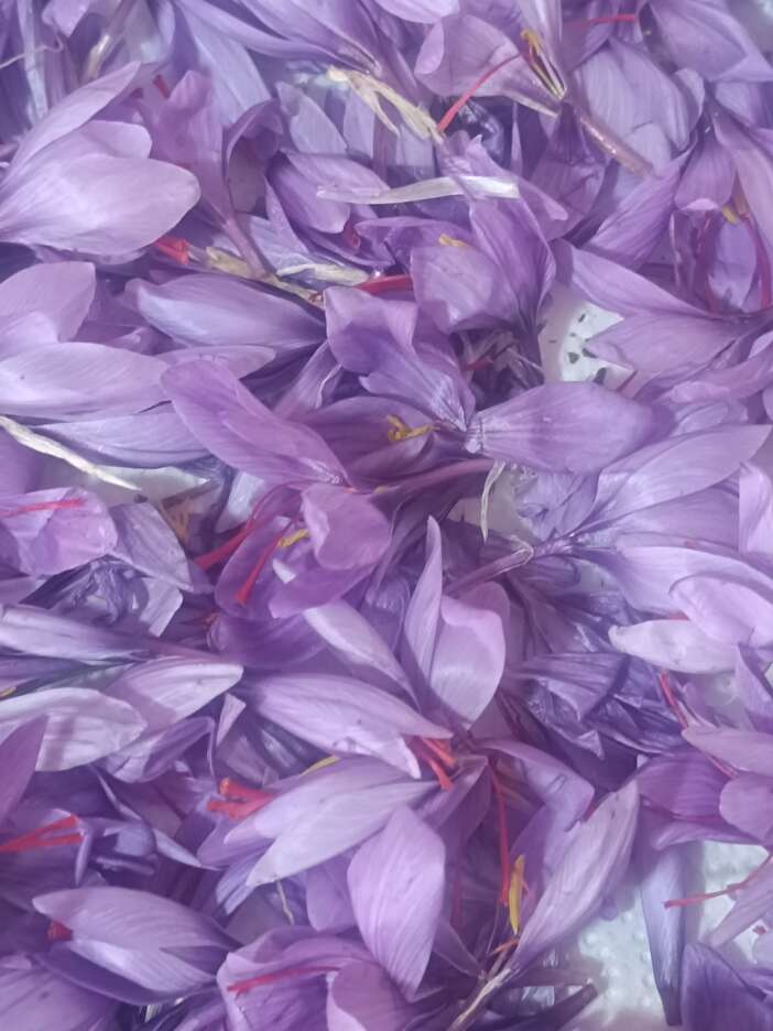 konyada-kadin-ureticinin-sifa-yolculugu-markaya-donustu