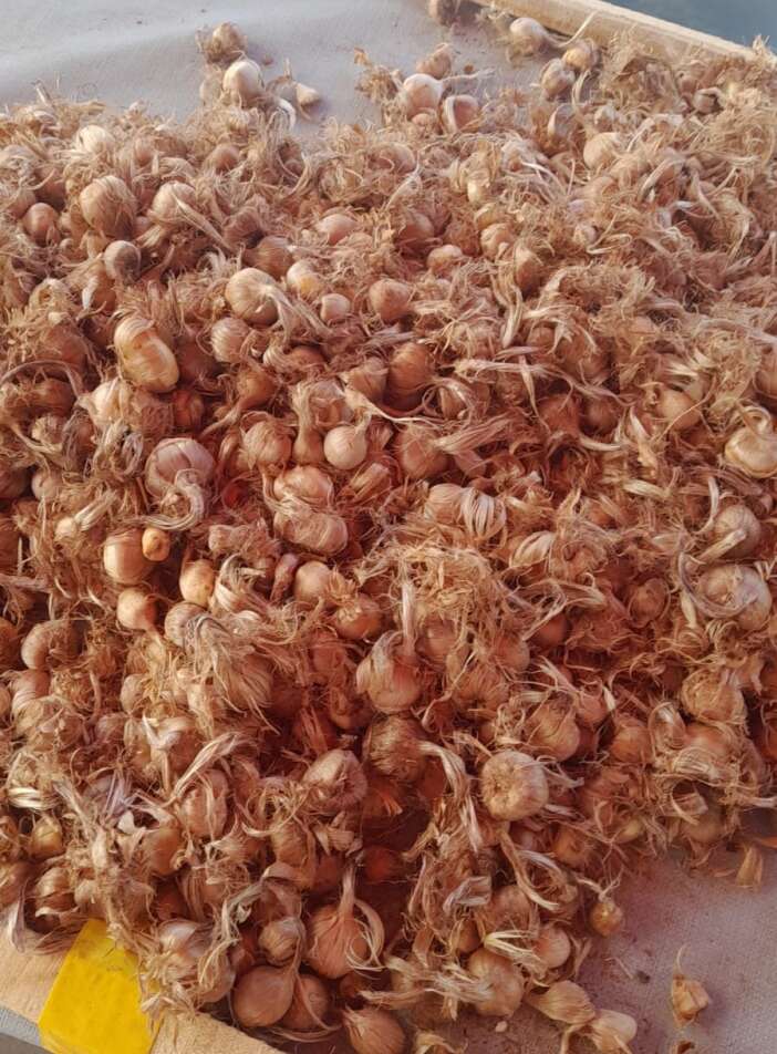 konyada-kadin-ureticinin-sifa-yolculugu-markaya-donustu