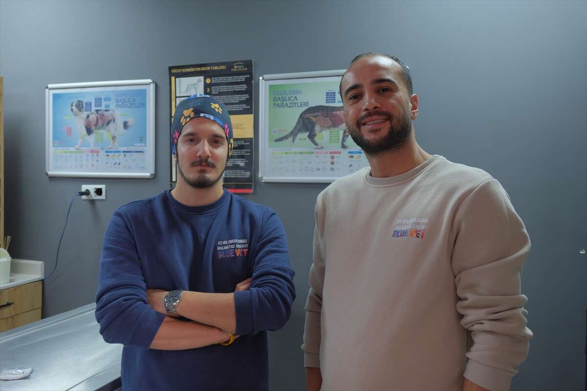 istahsiz-kedisini-veterinere-goturdu-hayatinin-sokunu-yasadi