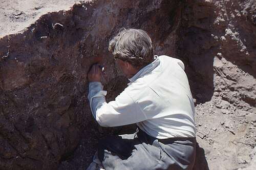 konyanin-cumra-ilcesindeki-catalhoyuku-dunyaya-tanitan-ingiliz-arkeolog-james-mellaart