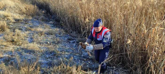 bitkin-halde-bulunan-kizil-sahine-sefkat-eli