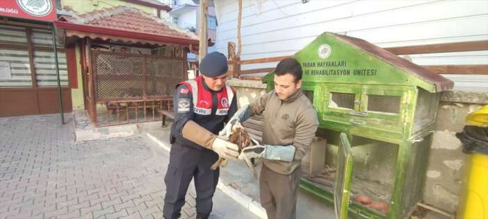 bitkin-halde-bulunan-kizil-sahine-sefkat-eli