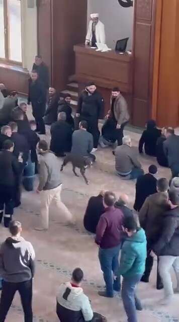 cuma-namazi-oncesi-camide-pitbull-girdi