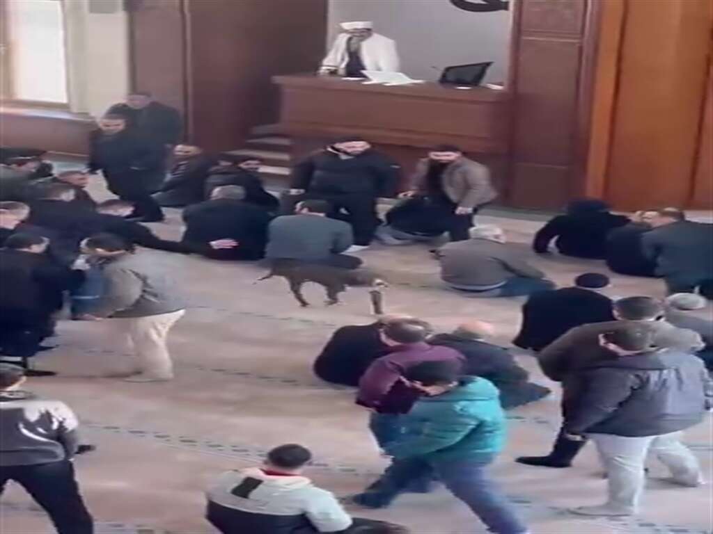 camide-korku-dolu-anlar-yasanmisti-goruntulerin-bedeli-agir-oldu