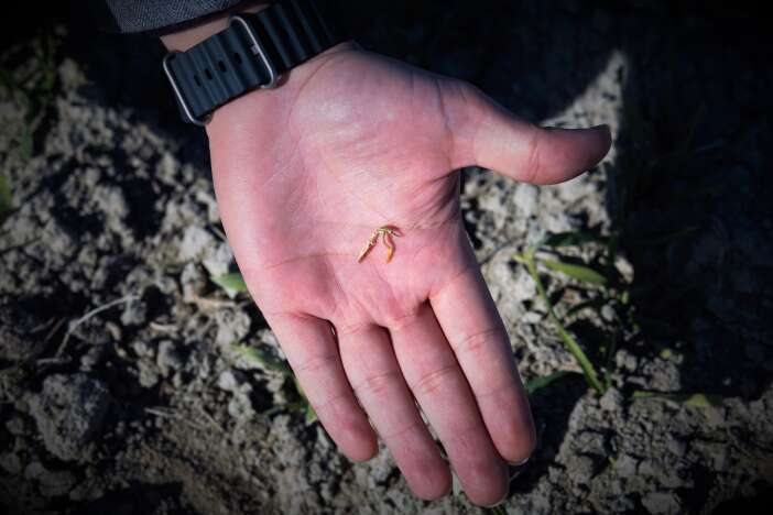 konya-ovasi-alarm-veriyor-kuraklik-kitligi-da-beraberinde-getiriyor