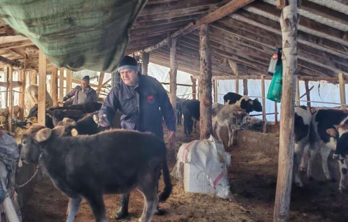 konya-beysehirde-hayvancilik-mercek-altinda