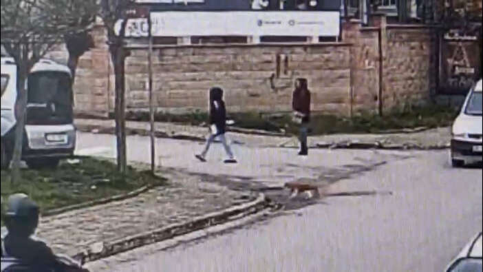 milyonluk-servet-vurgunu-yol-cezaevine-cikti