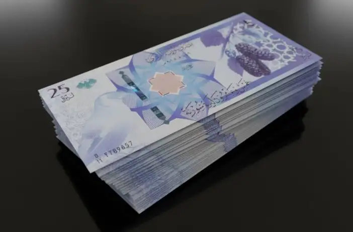 esadin-silindigi-suriyenin-yeni-parasinda-selcuklu-yildizi-detayi