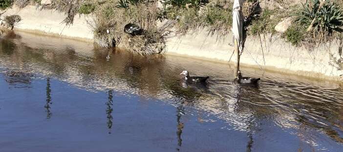 goksunun-rengi-degisti-akillara-3-yil-onceki-olay-geldi