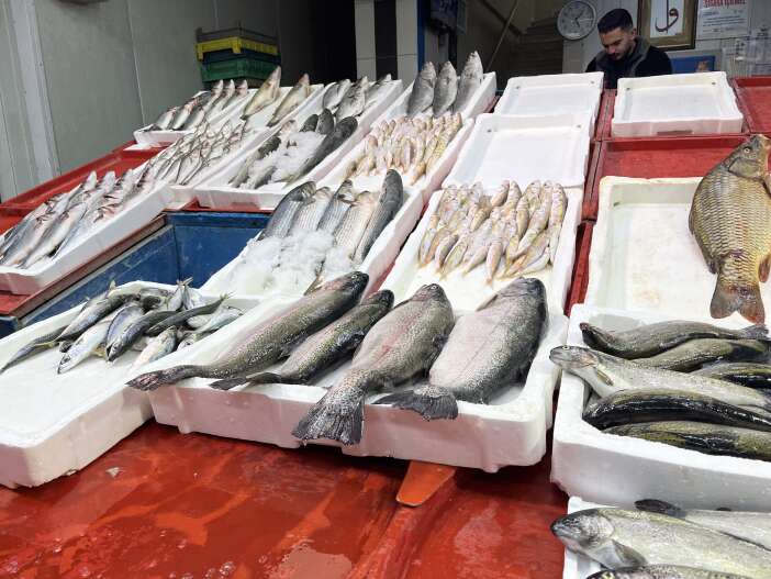 hamsiler-rusyaya-kacti-konyadaki-satislar-dustu