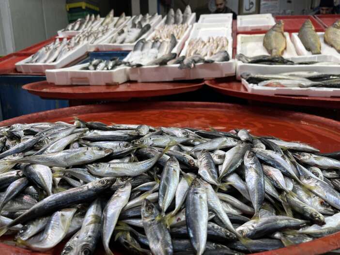 hamsiler-rusyaya-kacti-konyadaki-satislar-dustu