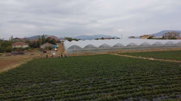 konyada-nufusu-azalan-ilceyi-kirmizi-altin-ayakta-tuttu