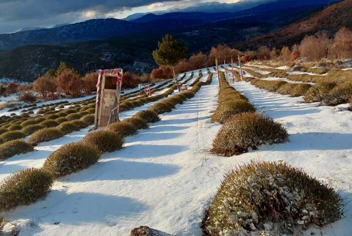 konyadaki-son-yagislar-dustugu-yerlerde-can-suyu-oldu