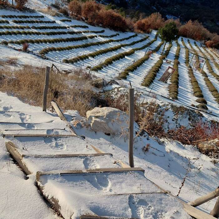 konyadaki-son-yagislar-dustugu-yerlerde-can-suyu-oldu