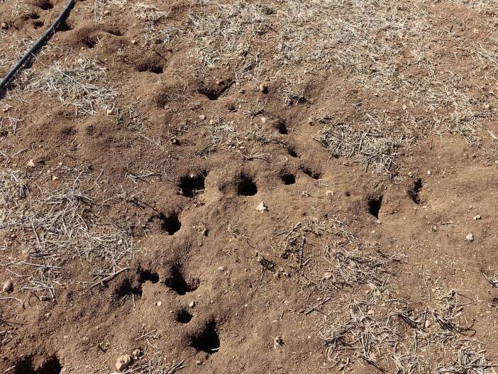 eksi-20yi-goren-konyada-kazanan-ciftci-oldu