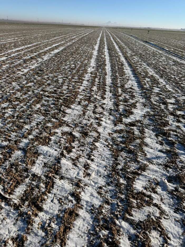 konya-ovasinda-endiselendiren-goruntu