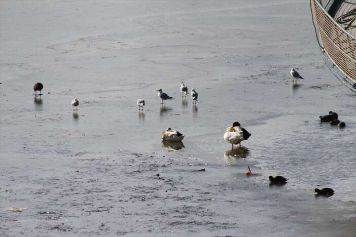 konyanin-denizi-dondu