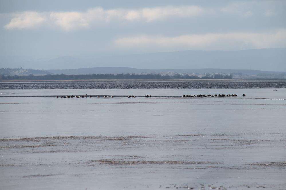 konyanin-denizi-dondu