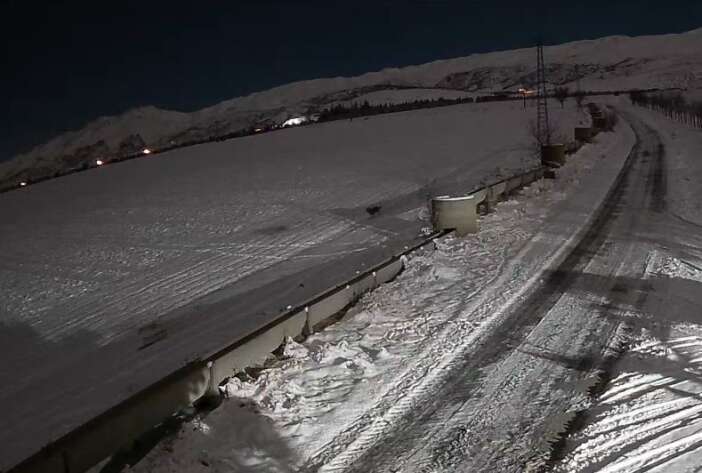 konyada-sehir-merkezine-kurtlar-indi