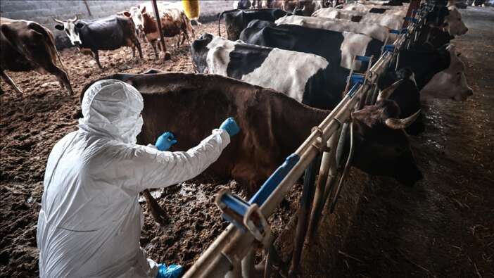 konyadan-sap-uyarisi-hastalik-ruzgarla-bile-yayilabilir