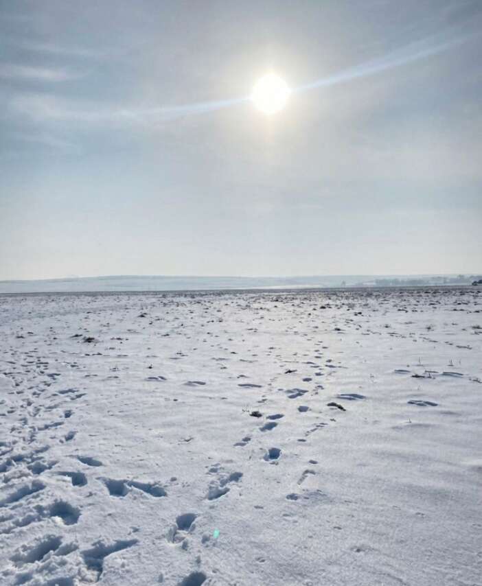 konyada-ciftcinin-morali-simdilik-yerine-geldi