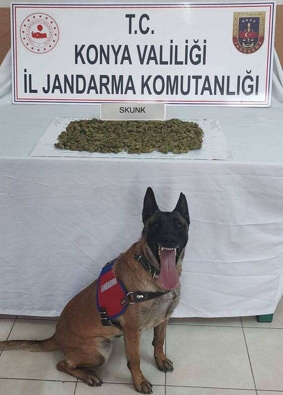 konyada-zehir-tacirlerine-darbe-11-operasyonda-7-kisi-tutuklandi