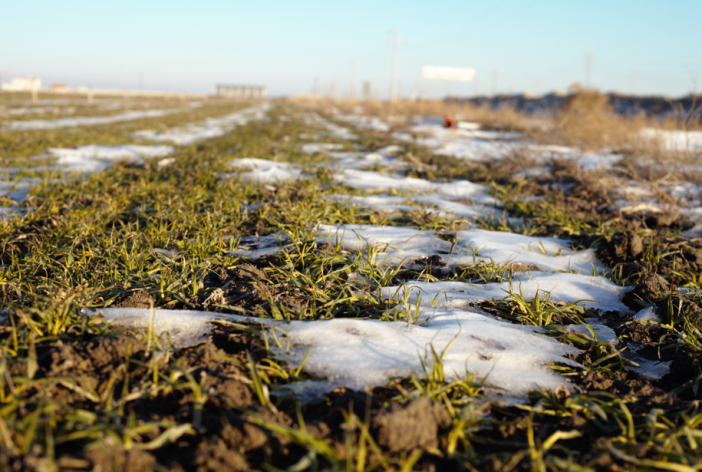 beklenen-kar-yagisini-goremeyen-konya-merkezini-zirai-don-vurdu