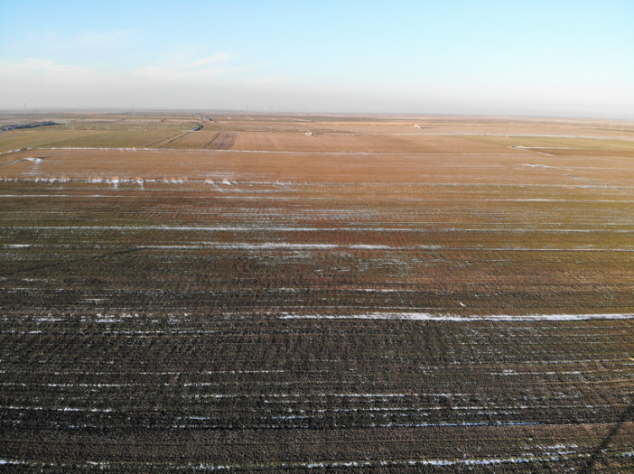 beklenen-kar-yagisini-goremeyen-konya-merkezini-zirai-don-vurdu