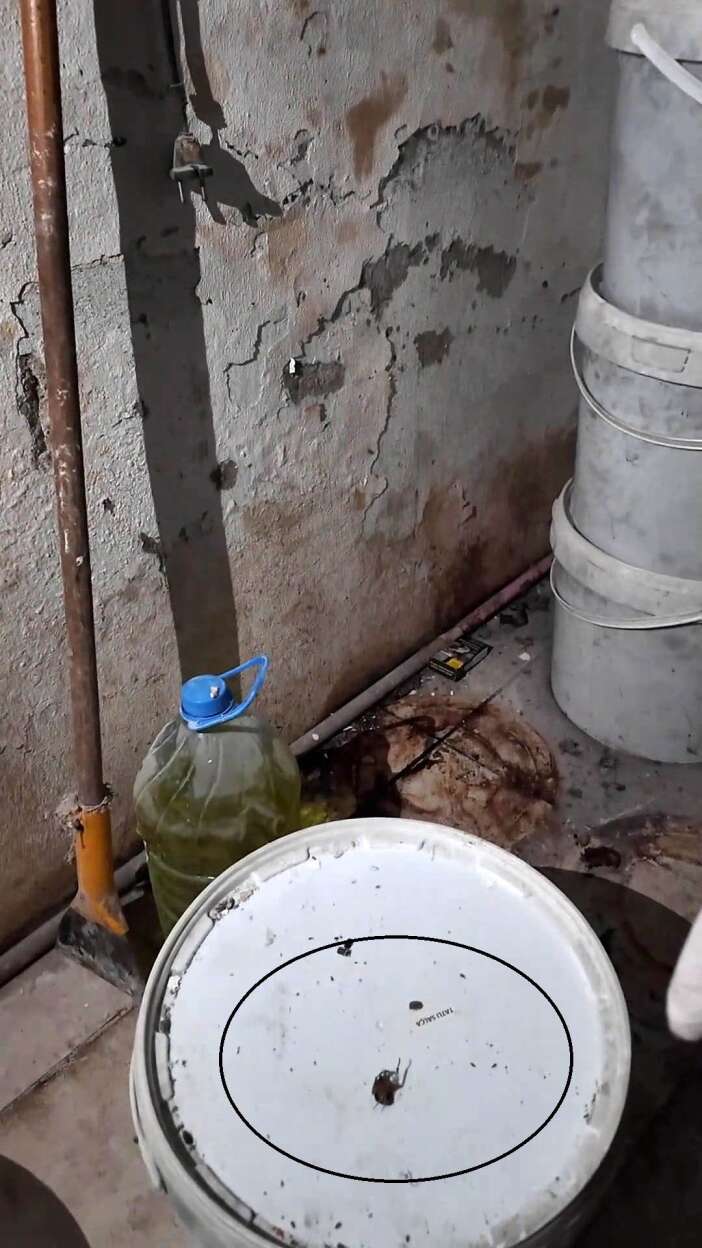 ekmek-firinindaki-goruntuler-dehsete-dusurdu-kemik-parcalari-bile-cikti