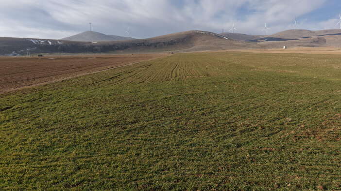 konyanin-bereketli-topraklarinda-hububat-isi-garantiye-aldi